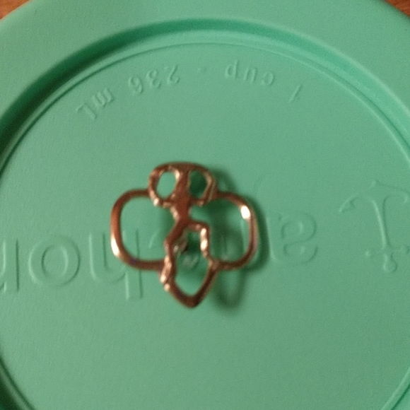 Girl Scouts Jewelry - Vintage Girl Scout Pin